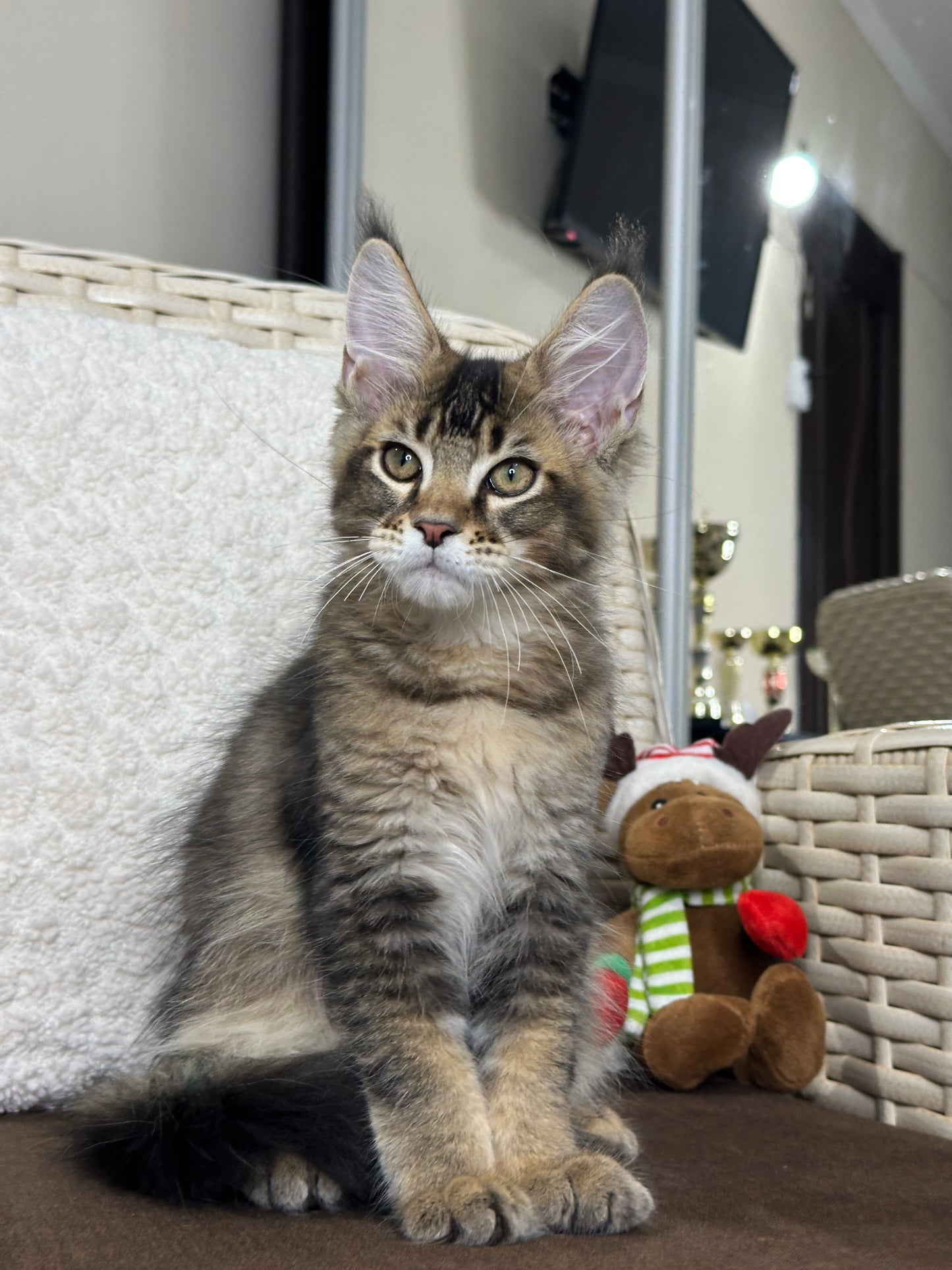 
                  
                    Louis
                  
                