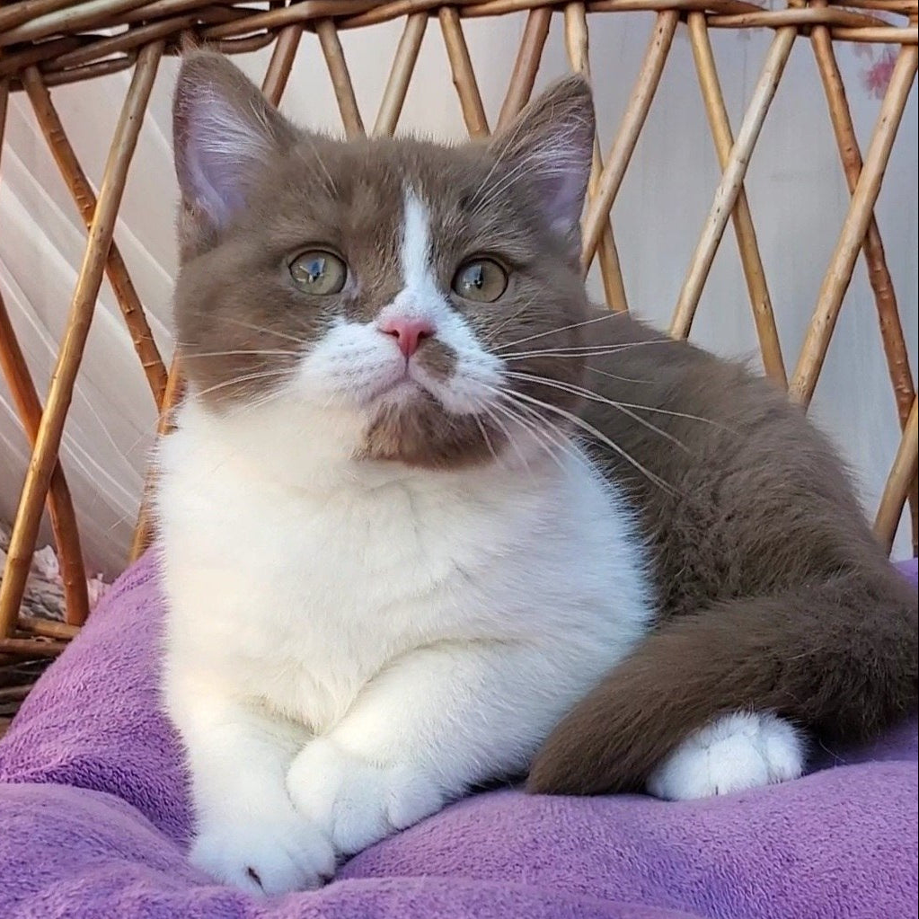 
                  
                    Sebastian
                  
                