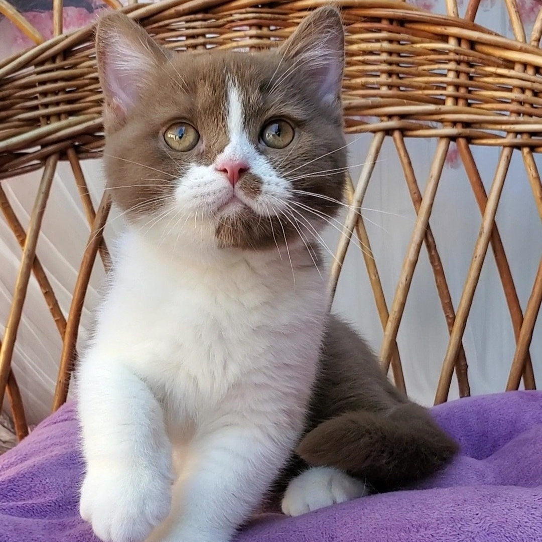 
                  
                    Sebastian
                  
                