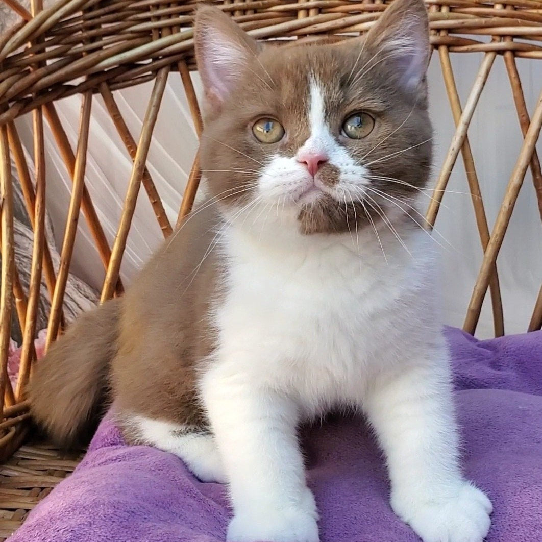 
                  
                    Sebastian
                  
                