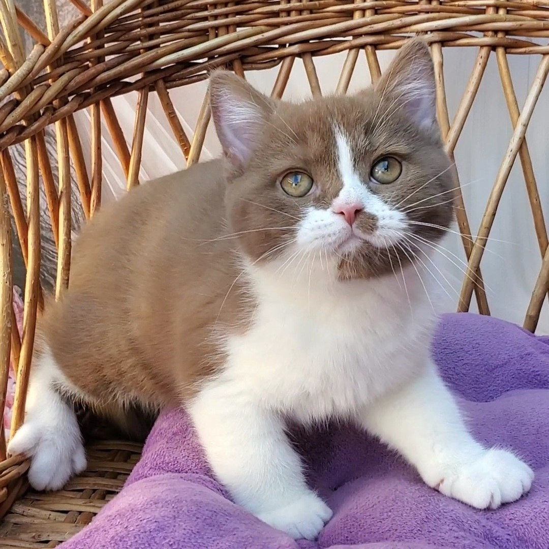 
                  
                    Sebastian
                  
                