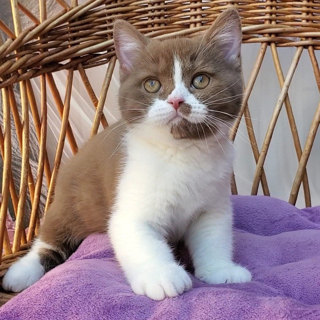 
                  
                    Sebastian
                  
                
