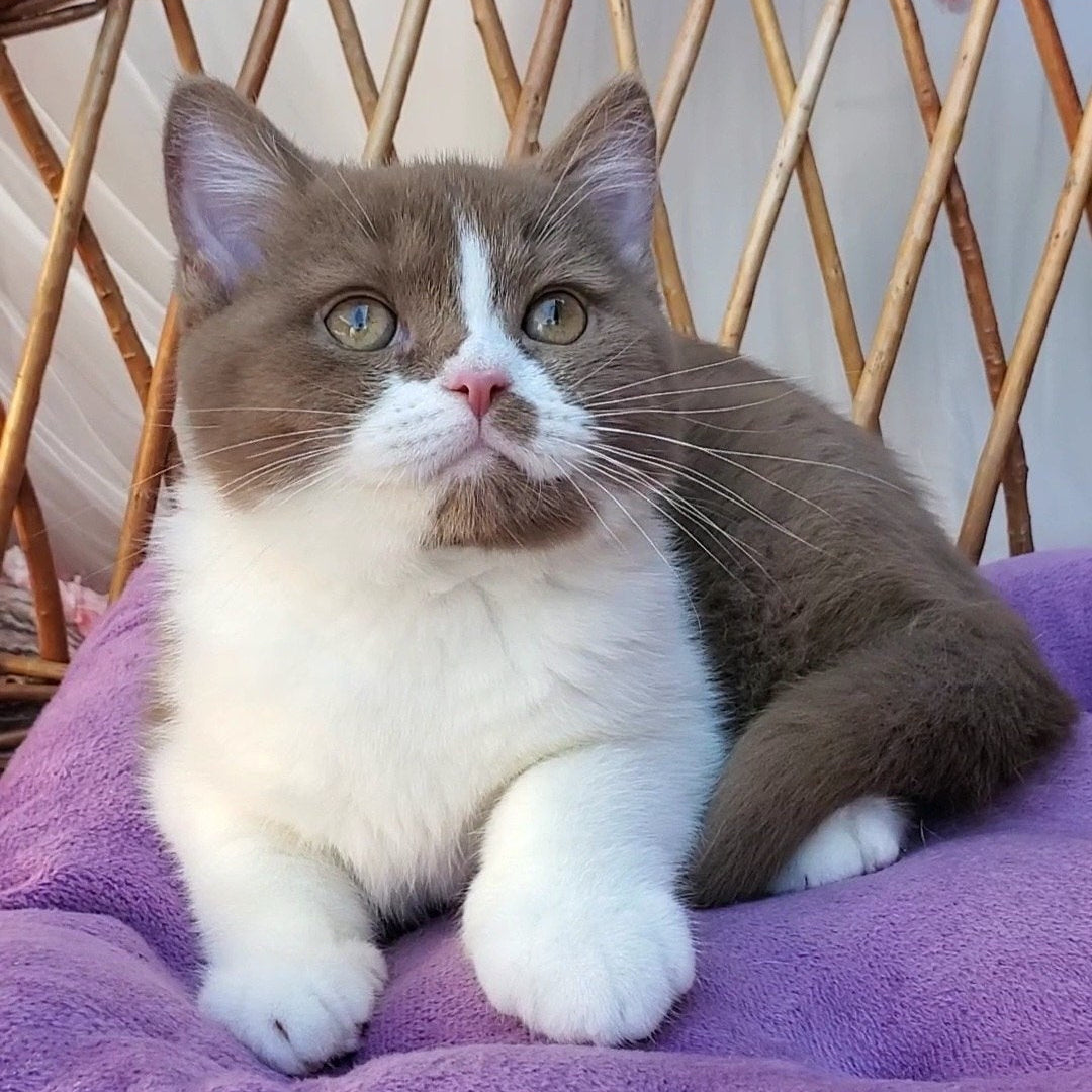 
                  
                    Sebastian
                  
                