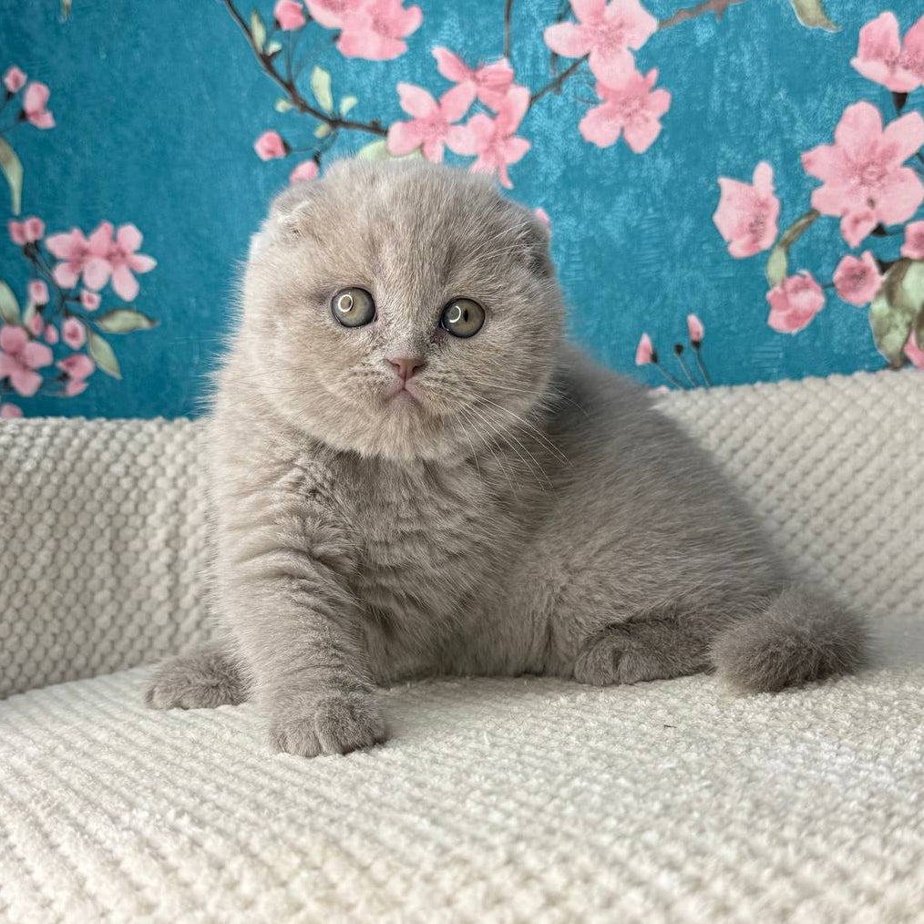 
                  
                    Margo
                  
                