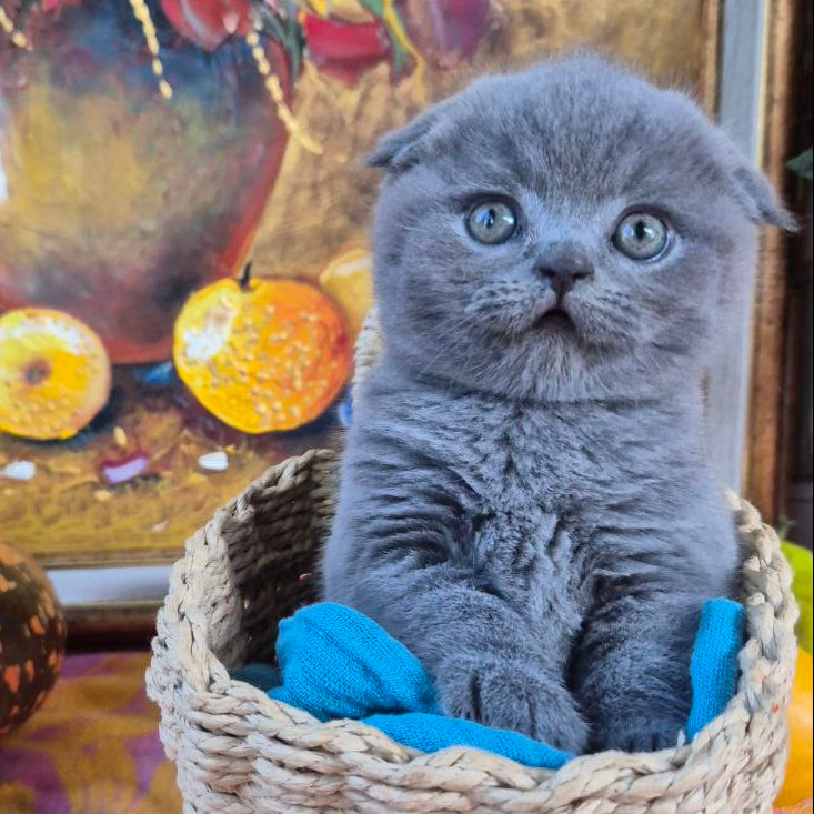 
                  
                    George
                  
                