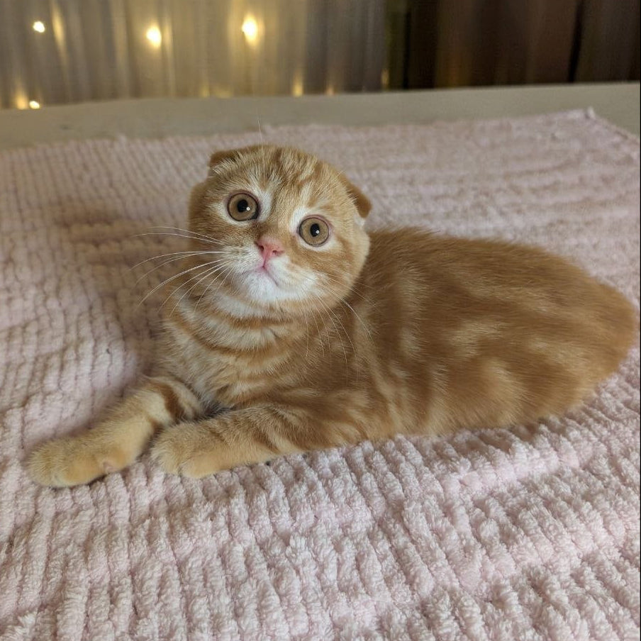 
                  
                    Alan
                  
                
