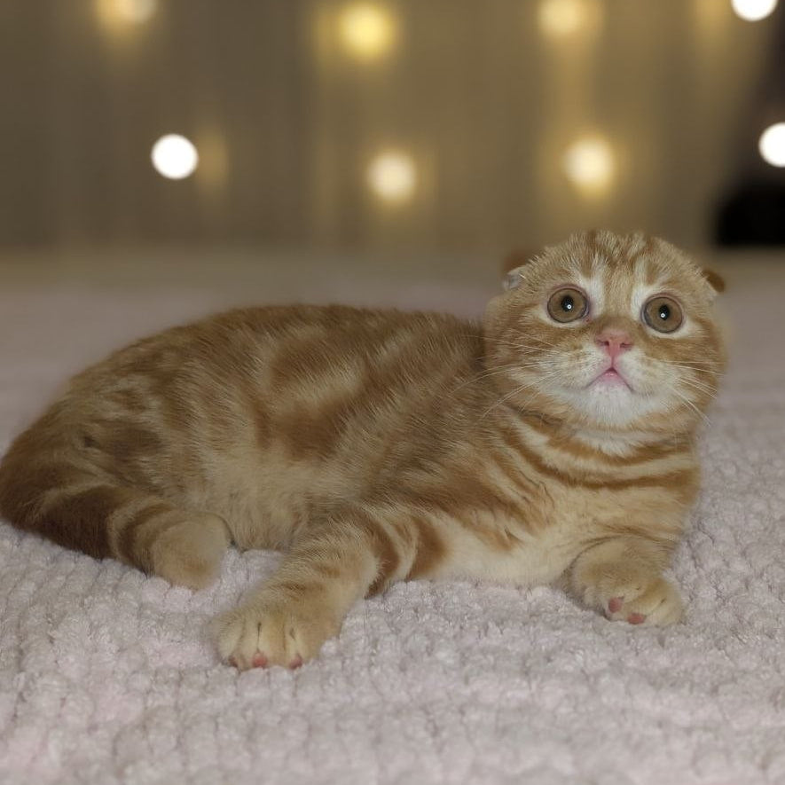 
                  
                    Alan
                  
                