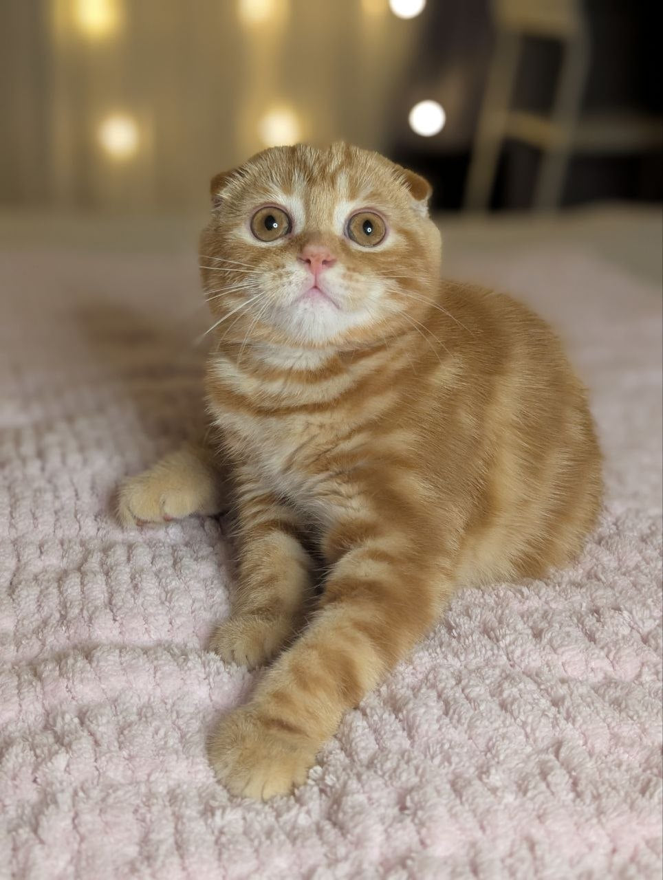 
                  
                    Alan
                  
                