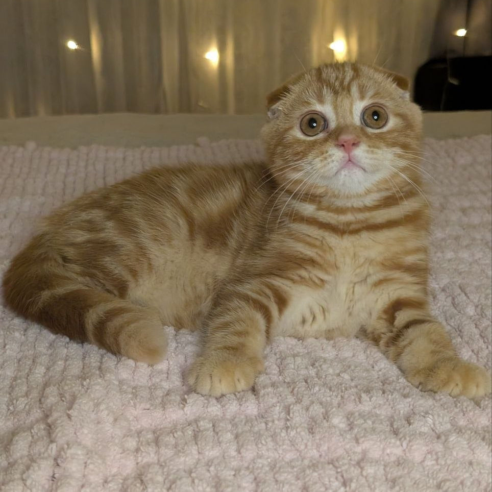 
                  
                    Alan
                  
                