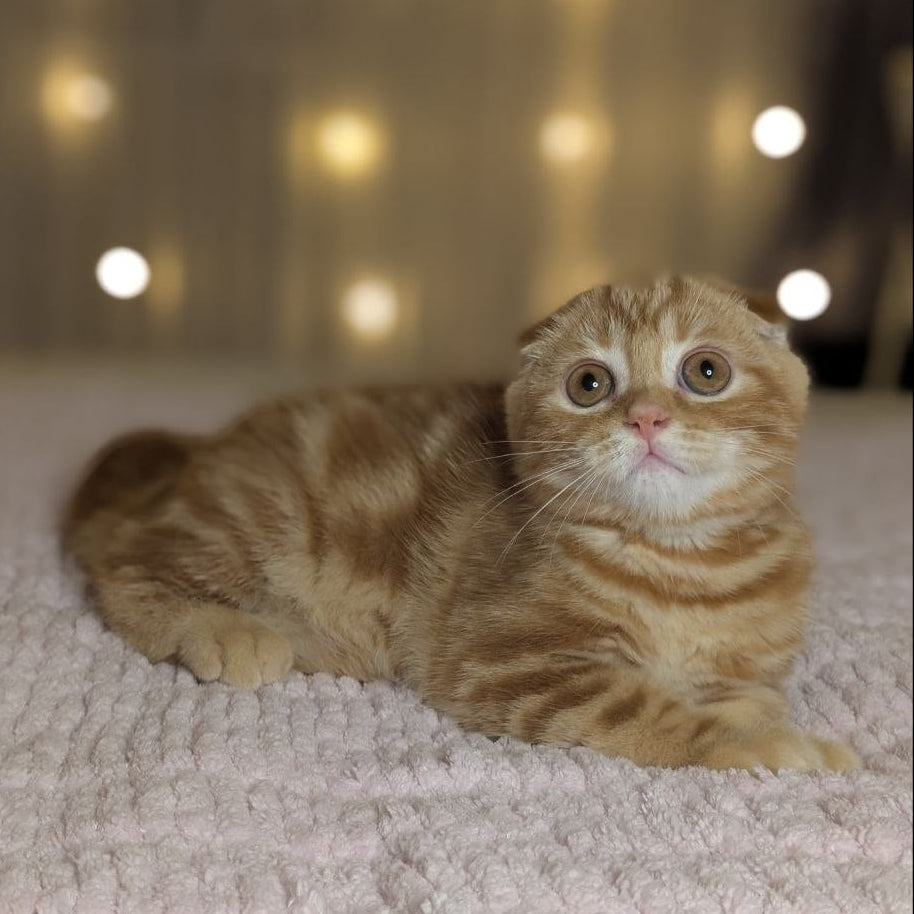 
                  
                    Alan
                  
                