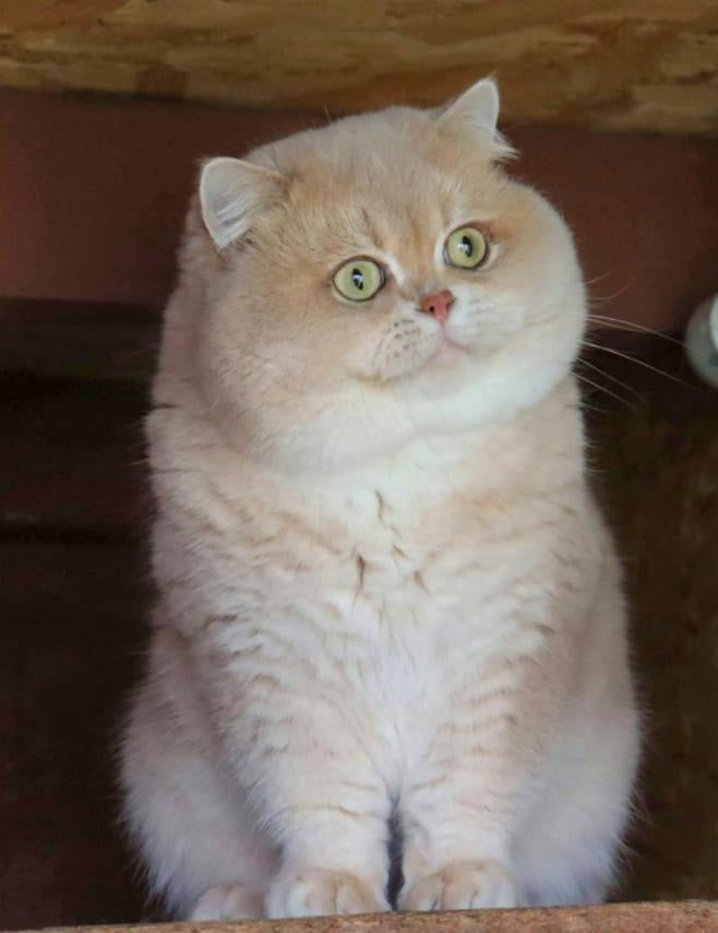
                  
                    Pamela
                  
                