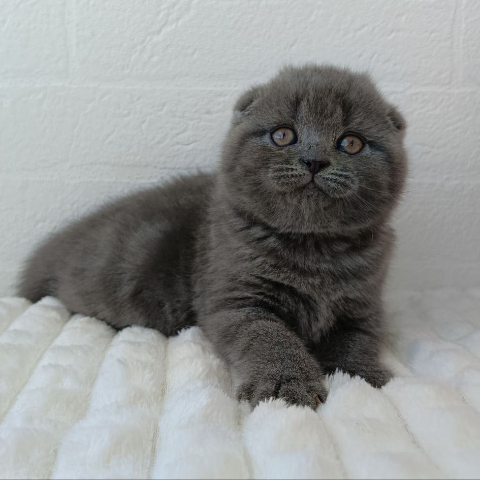 
                  
                    Winnie
                  
                