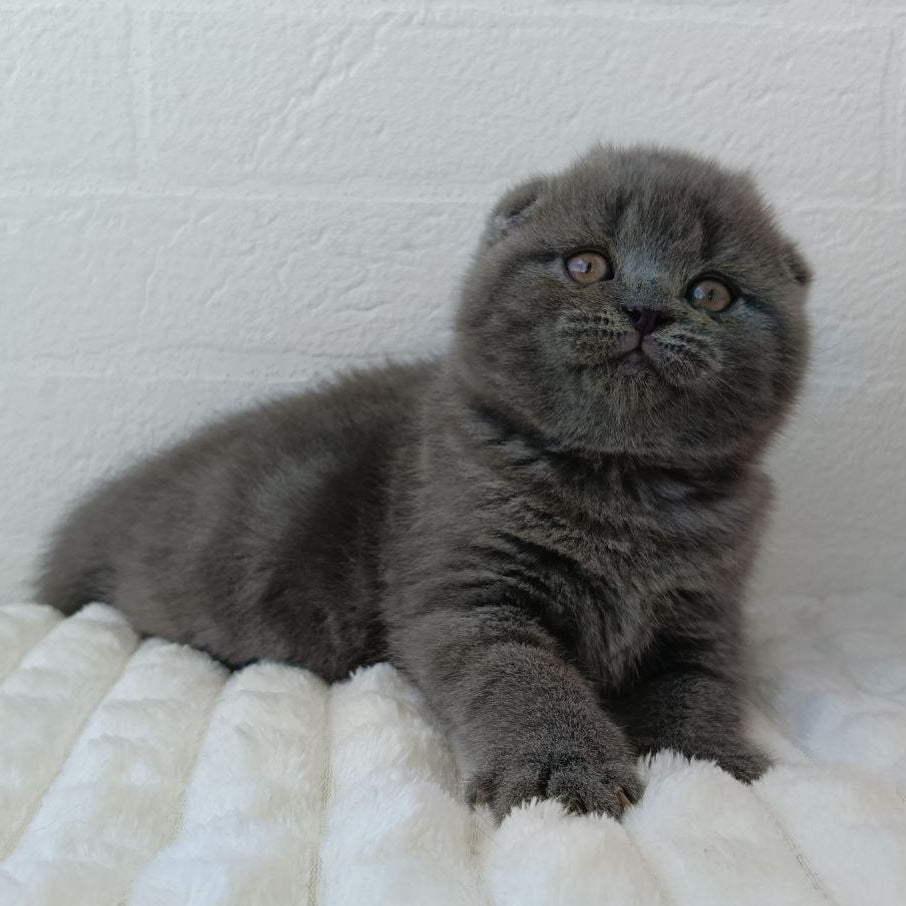 
                  
                    Winnie
                  
                