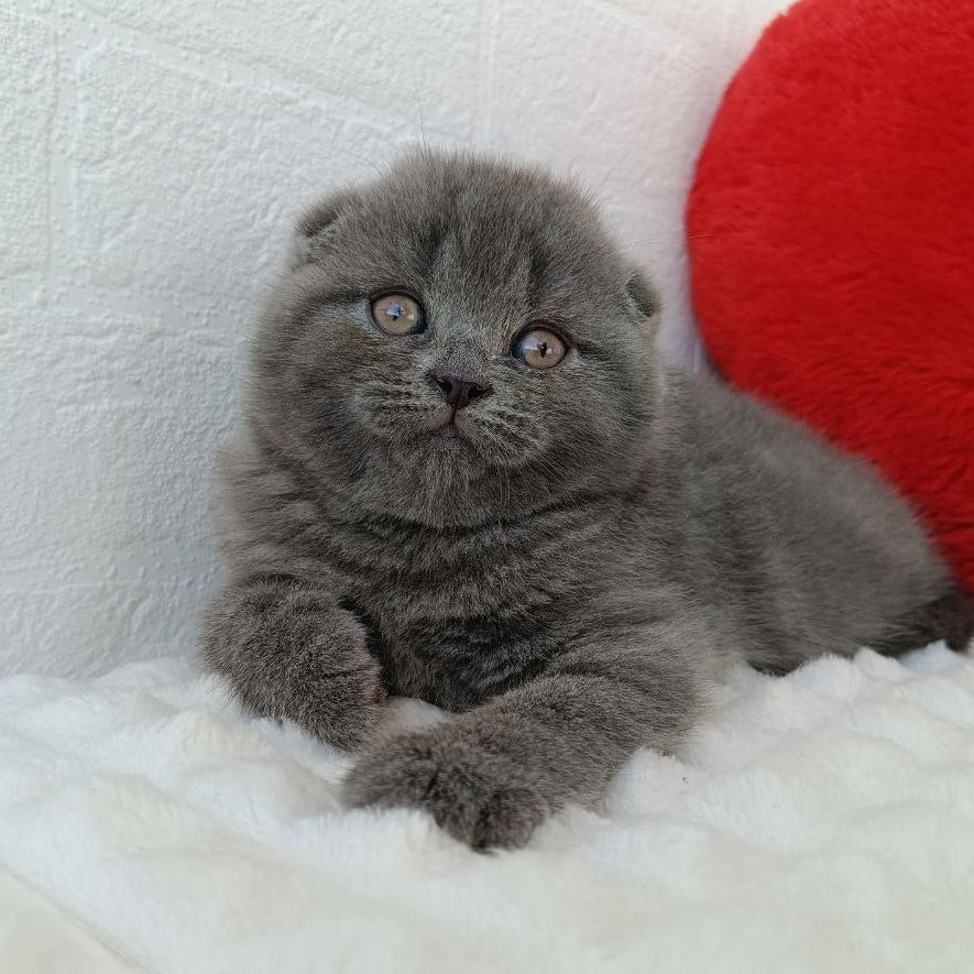 
                  
                    Winnie
                  
                