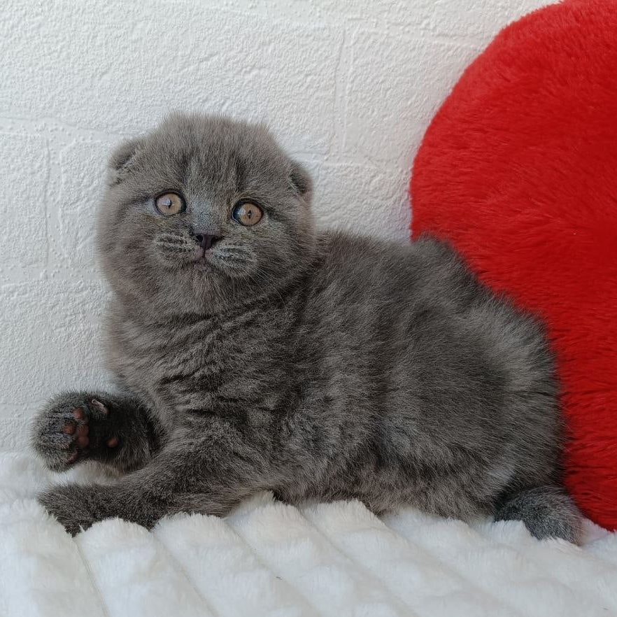 
                  
                    Winnie
                  
                