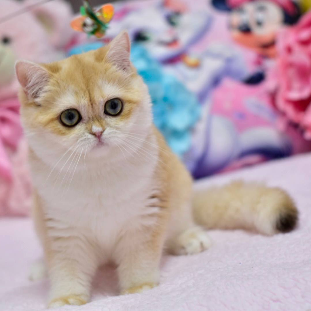 
                  
                    Chloe
                  
                