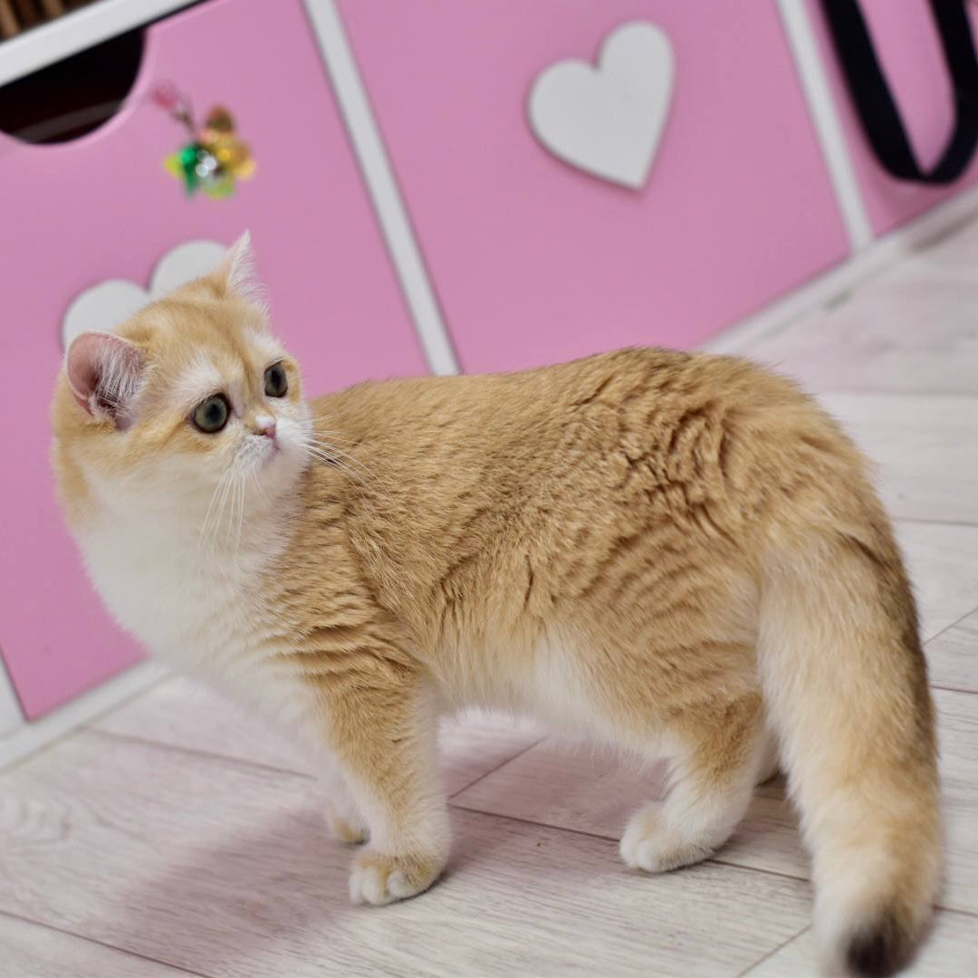 
                  
                    Chloe
                  
                