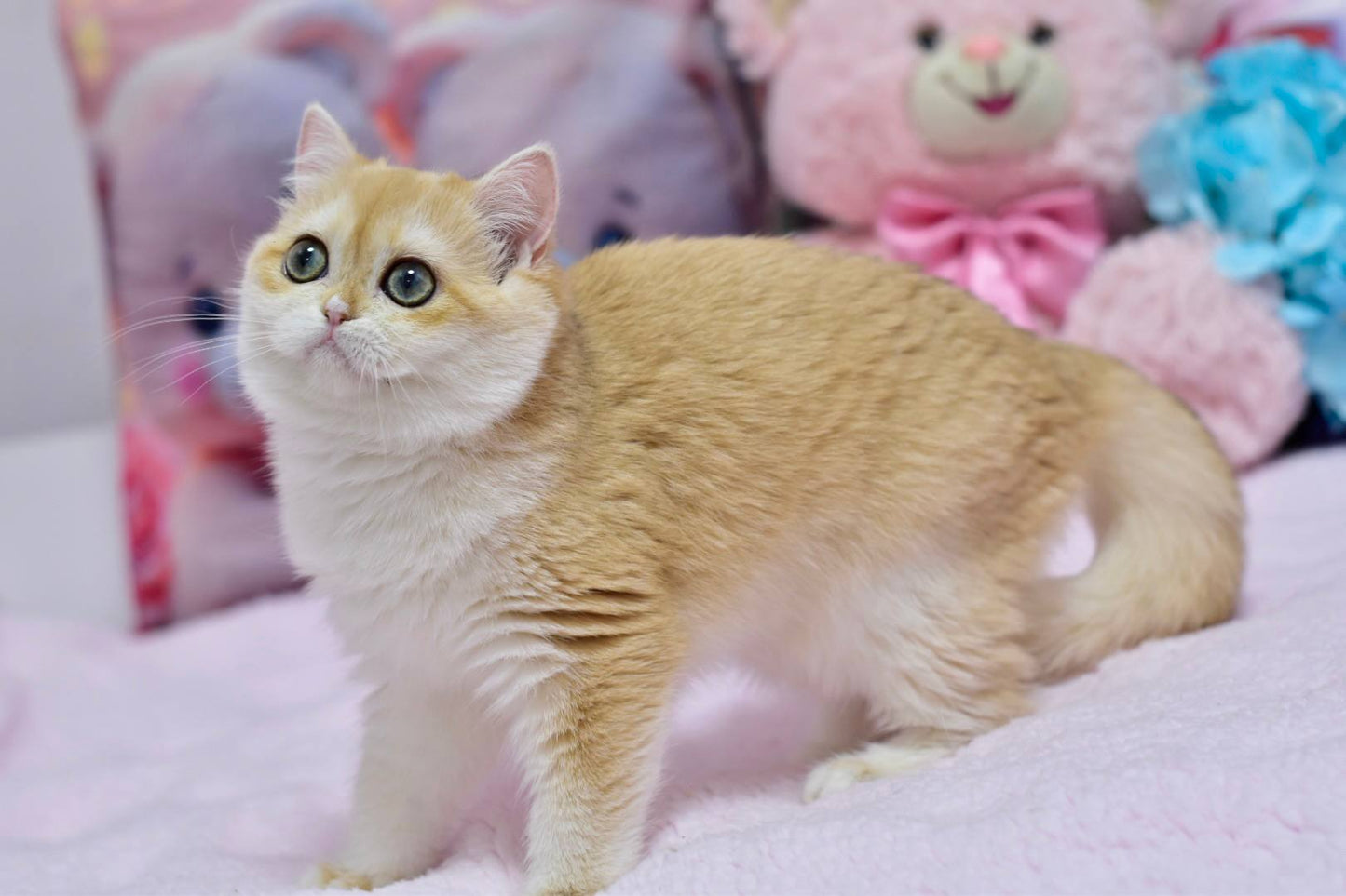 
                  
                    Chloe
                  
                