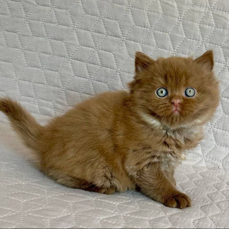 
                  
                    Bob
                  
                