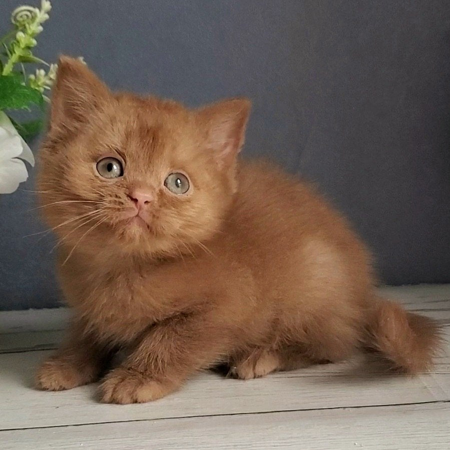 
                  
                    Fiona
                  
                