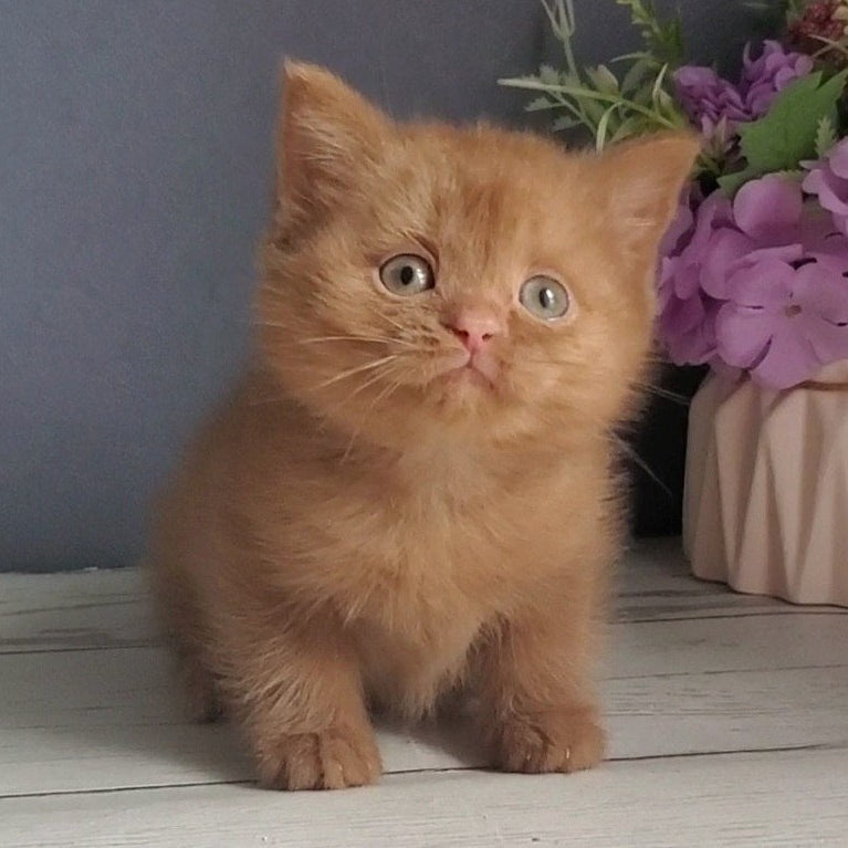
                  
                    Fiona
                  
                