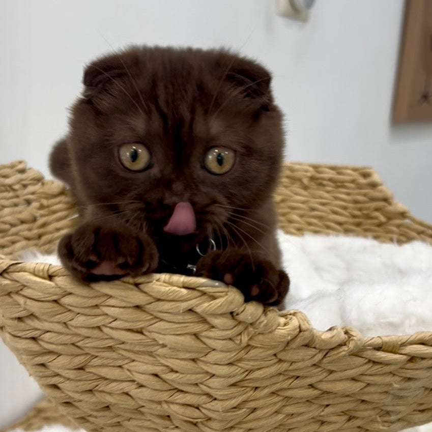 
                  
                    Margo (I am in Los Angeles!)
                  
                