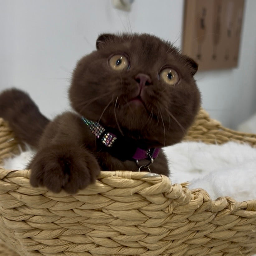 
                  
                    Margo (I am in Los Angeles!)
                  
                