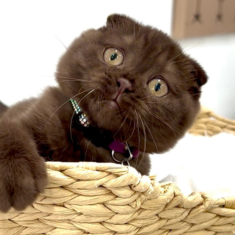 Margo (I am in Los Angeles!)