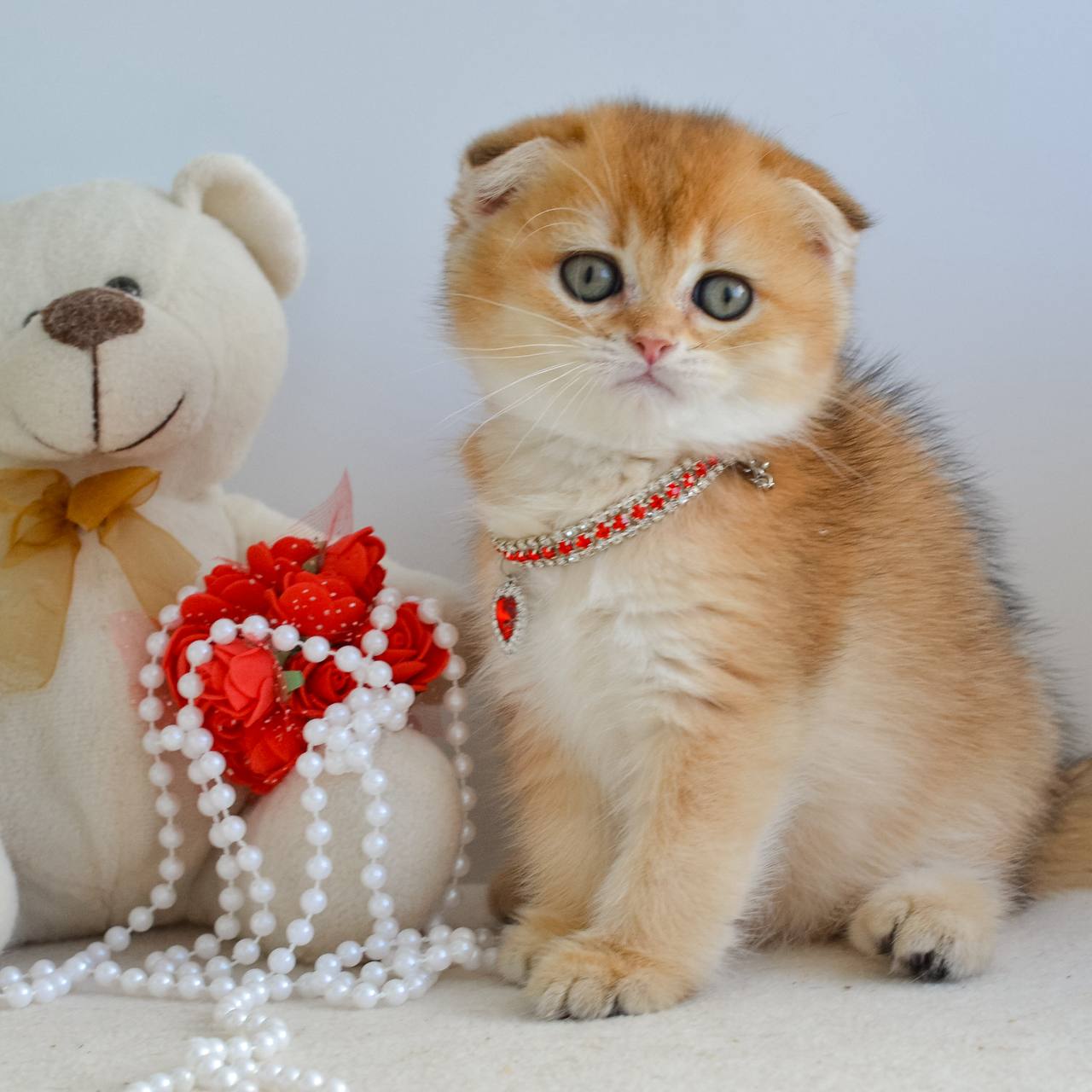 
                  
                    Jade
                  
                