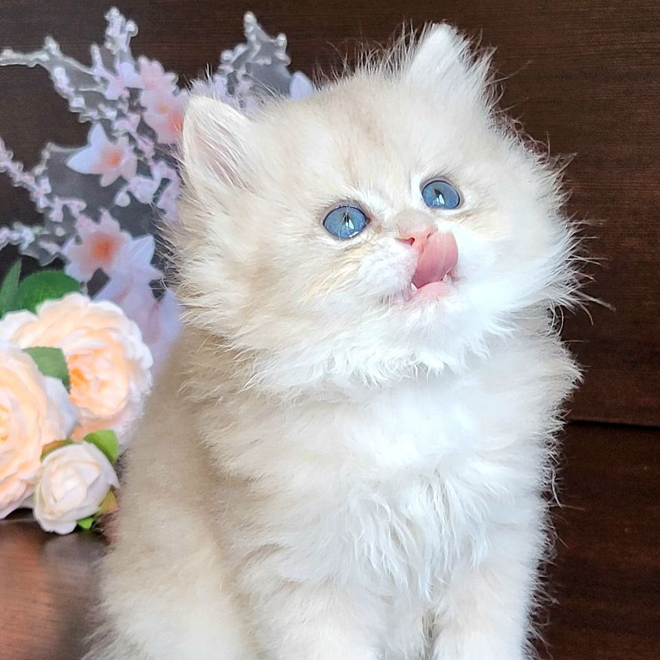 
                  
                    Tina
                  
                