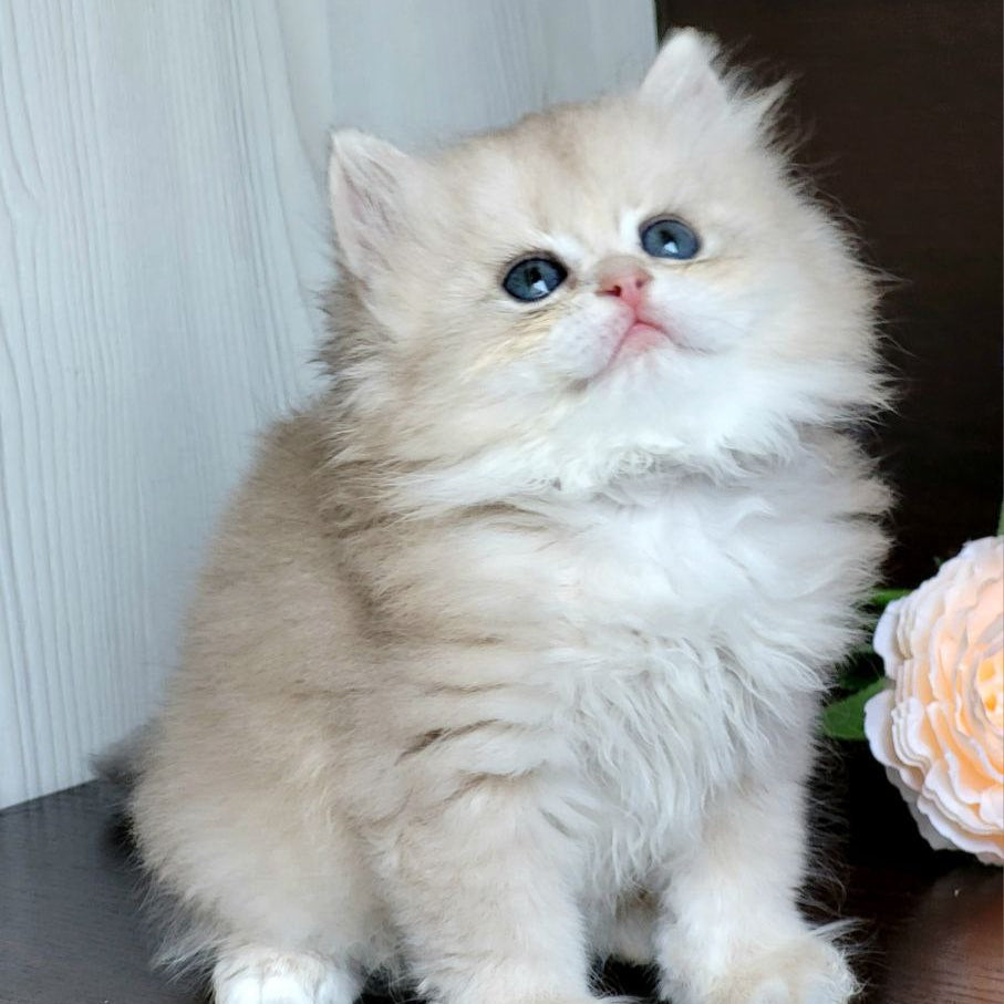 
                  
                    Tina
                  
                