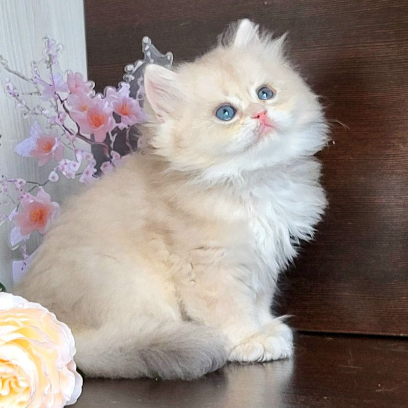 
                  
                    Tina
                  
                