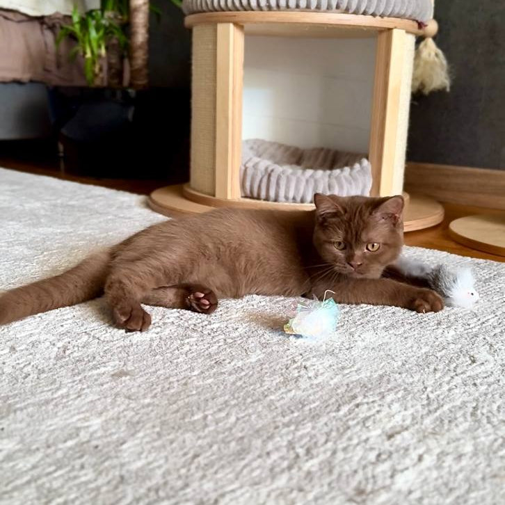 
                  
                    Solar
                  
                