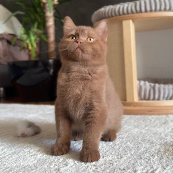 
                  
                    Solar
                  
                
