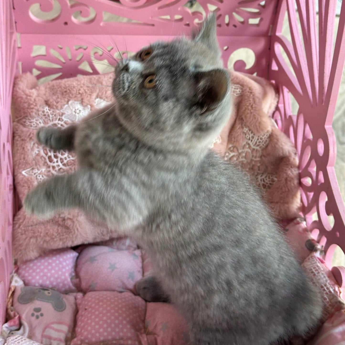 
                  
                    Milka
                  
                