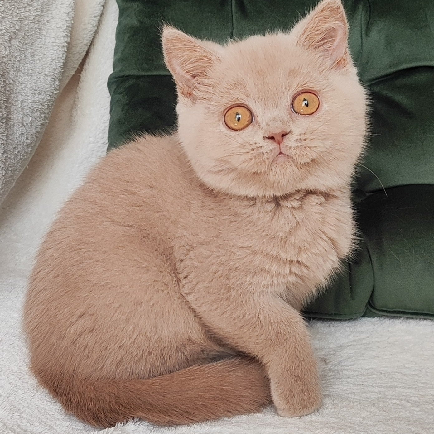 
                  
                    Ukki
                  
                