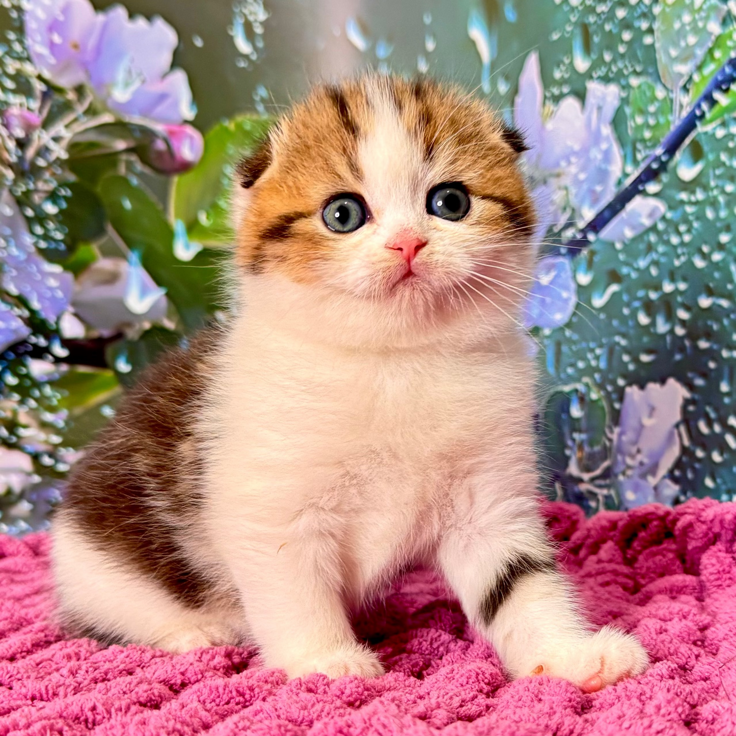 
                  
                    Milana
                  
                