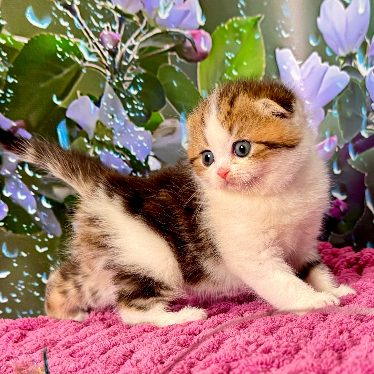 
                  
                    Milana
                  
                