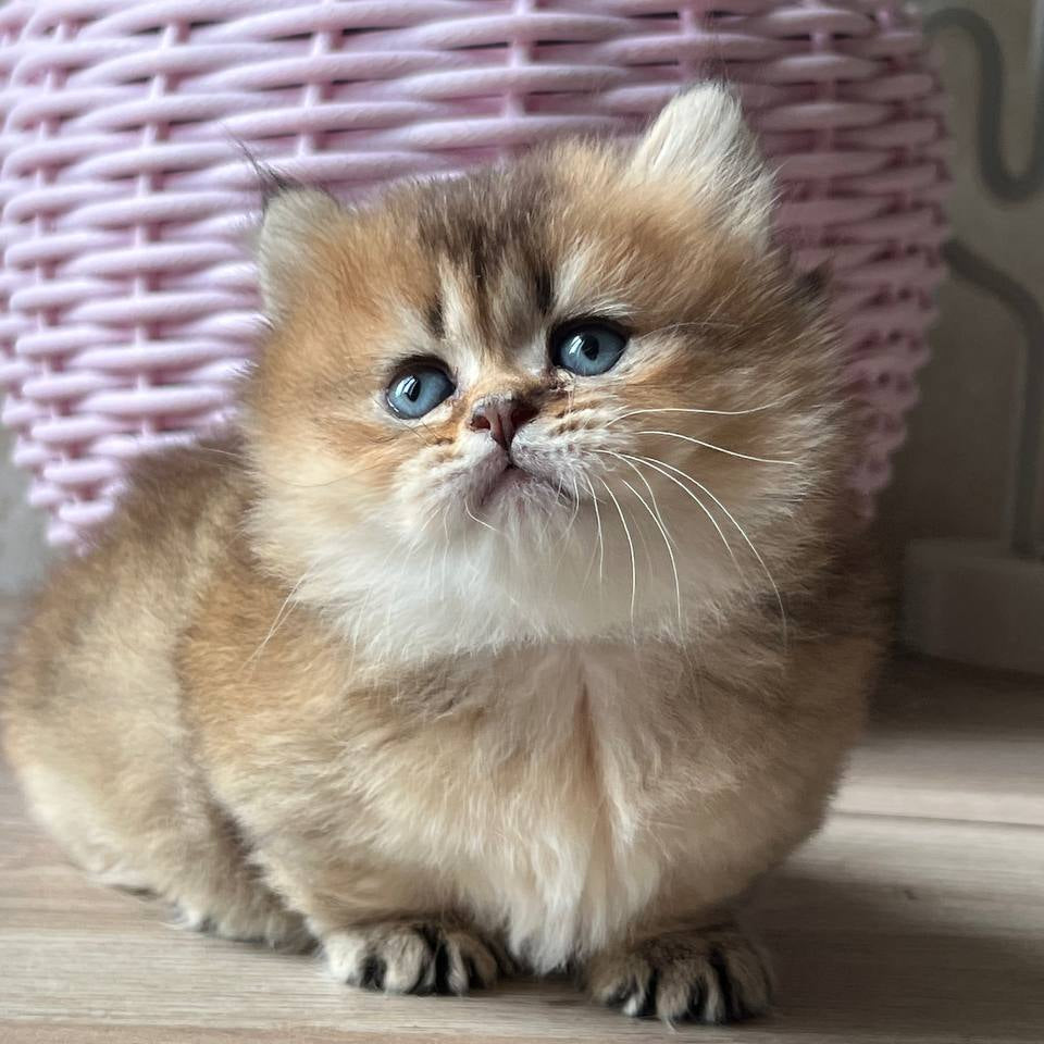 
                  
                    Patrik
                  
                