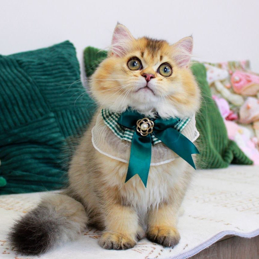 
                  
                    Oliver
                  
                