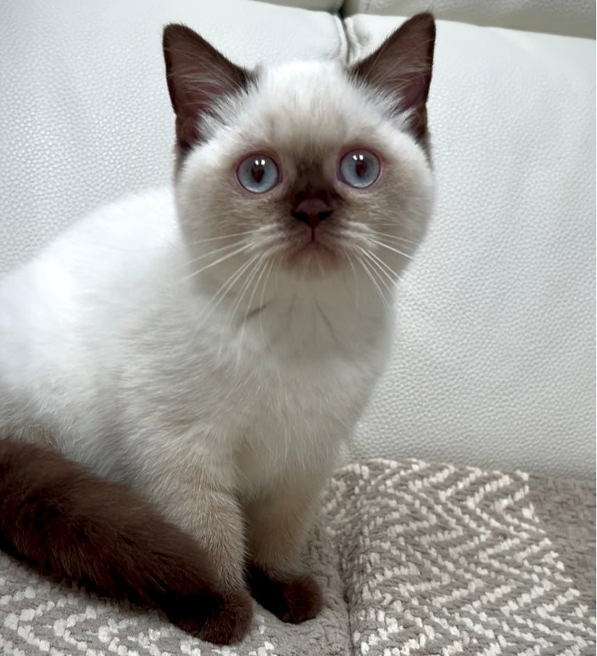
                  
                    Bonnie
                  
                