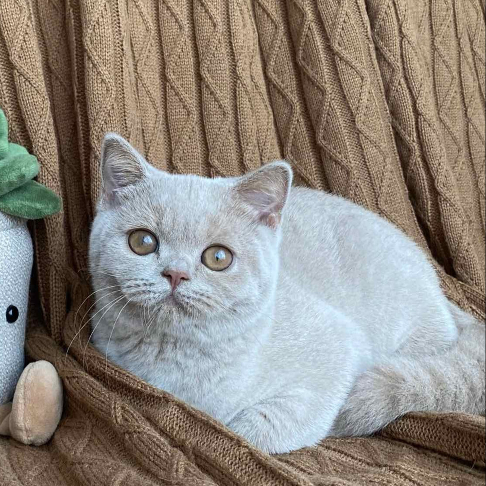 
                  
                    Gina
                  
                