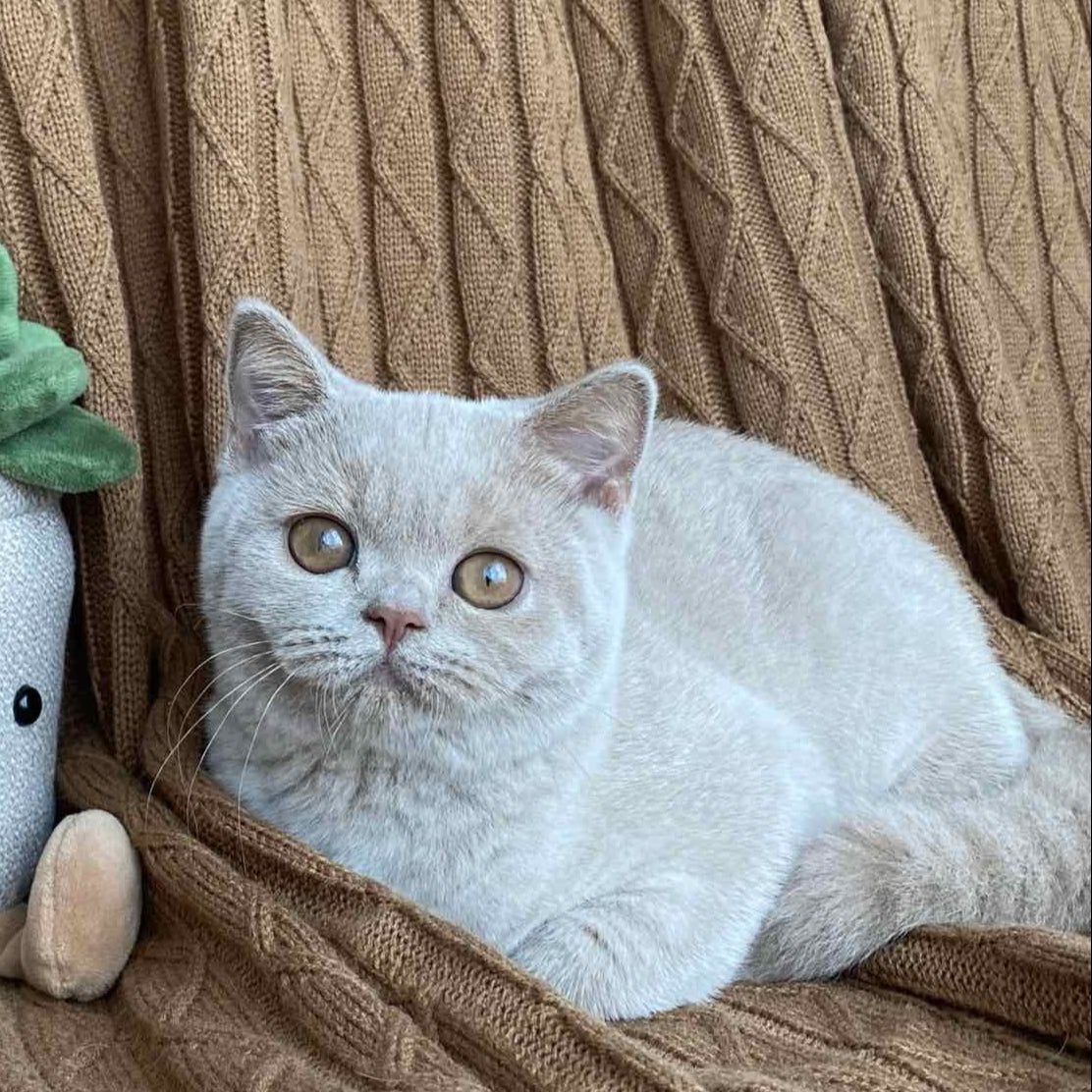 
                  
                    Gina
                  
                