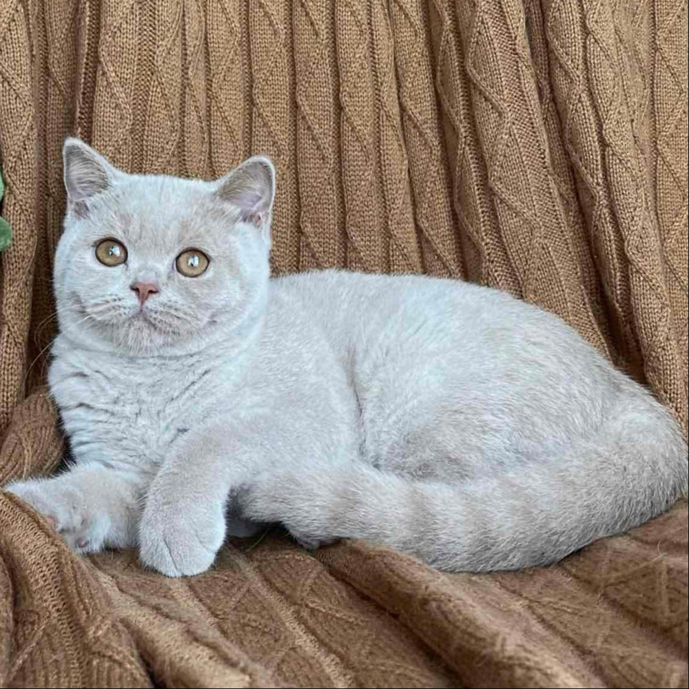 
                  
                    Gina
                  
                