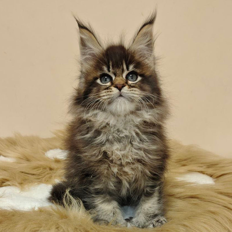 Sebastian