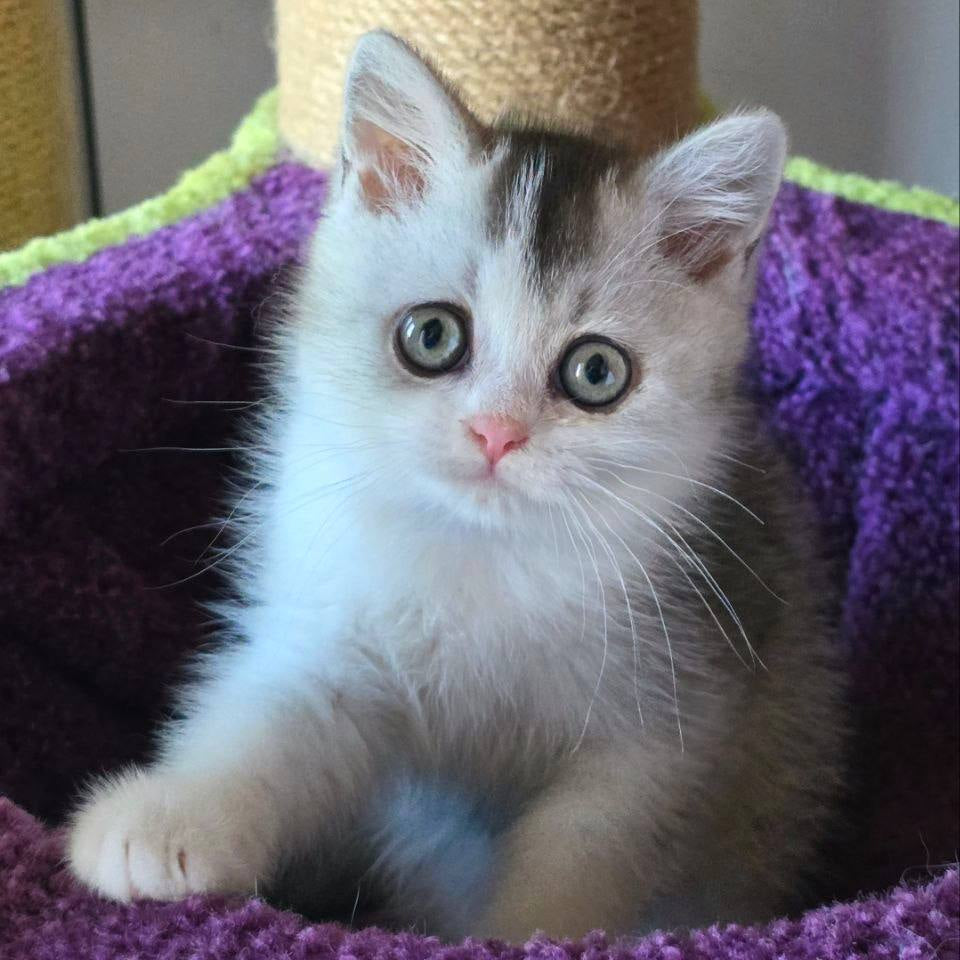 
                  
                    Margo
                  
                