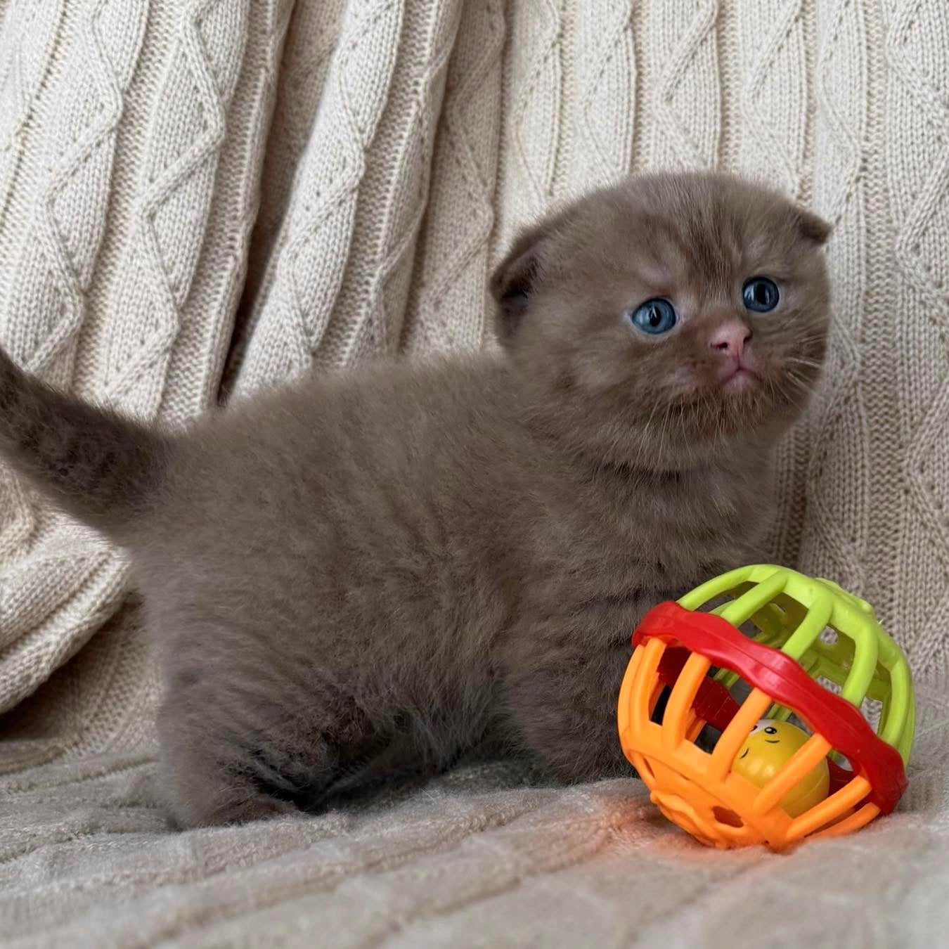 
                  
                    William
                  
                