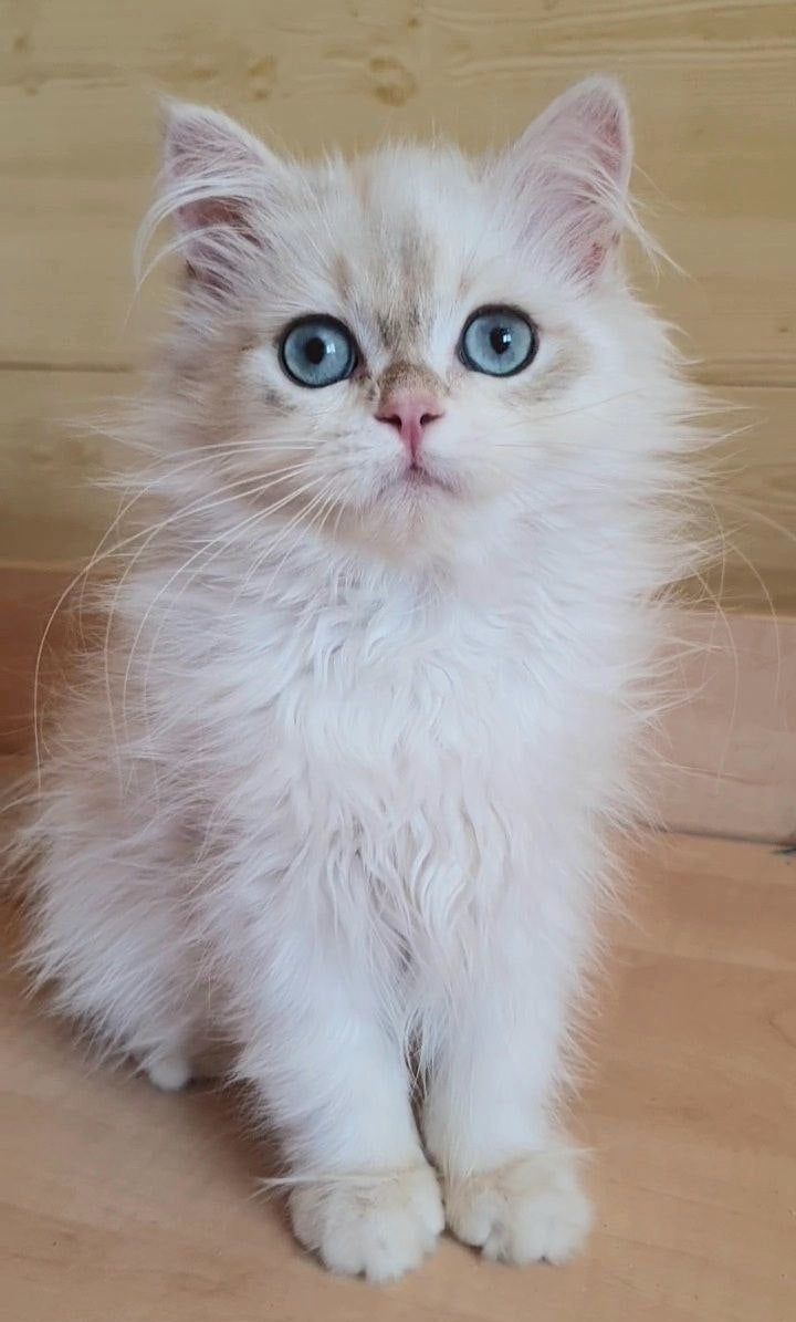 
                  
                    Xavi
                  
                