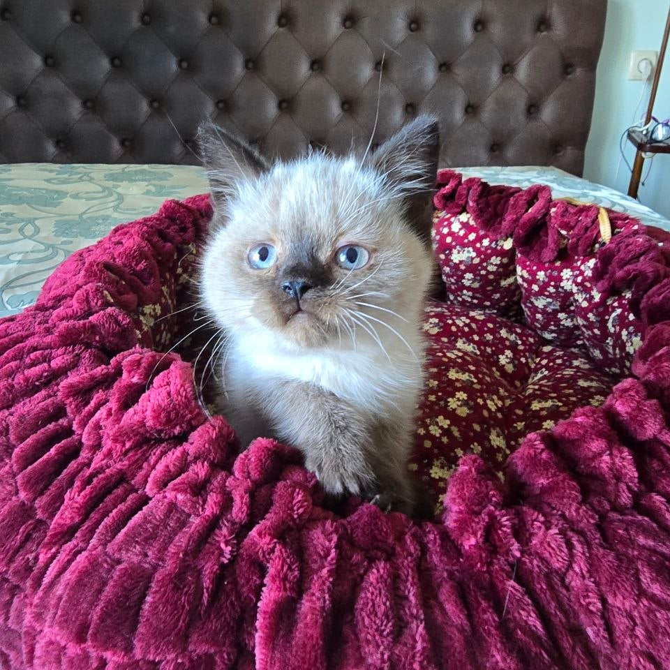 
                  
                    Finn
                  
                
