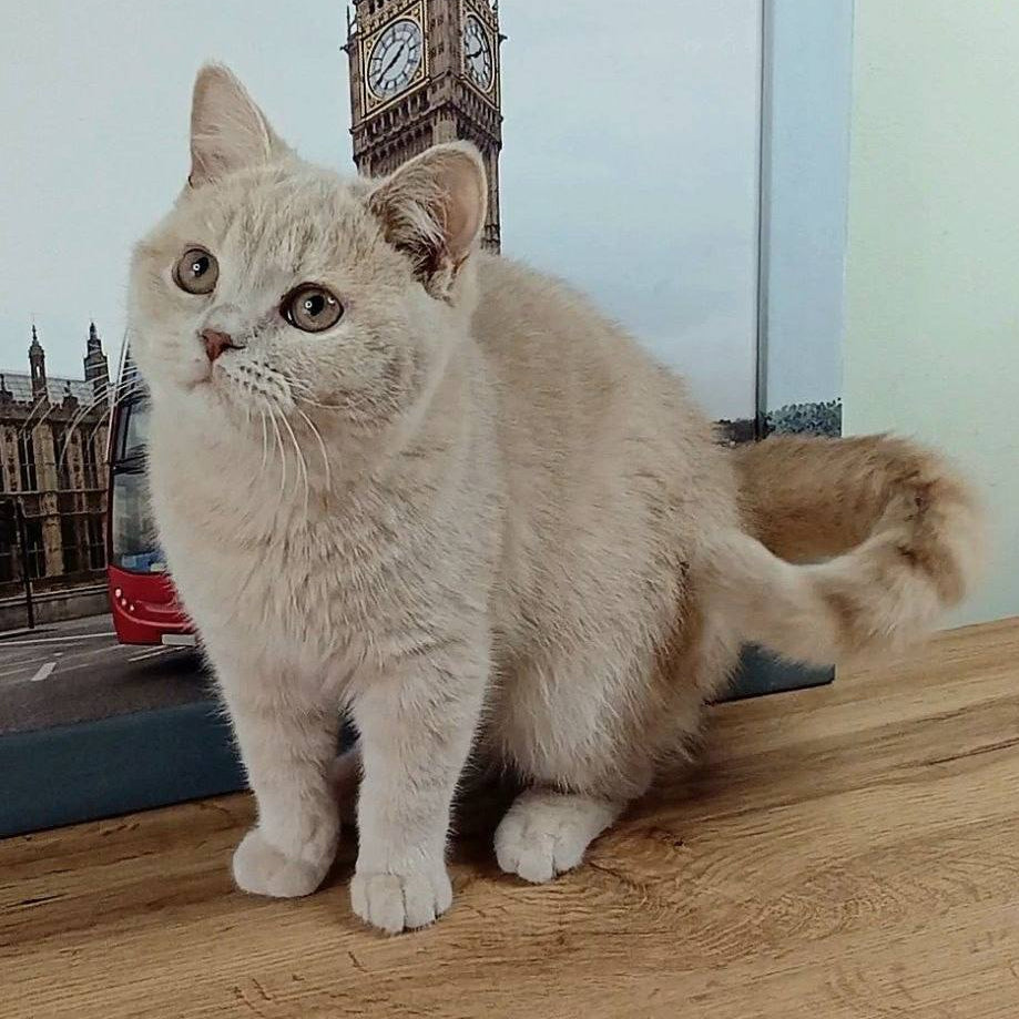 
                  
                    Oliver
                  
                